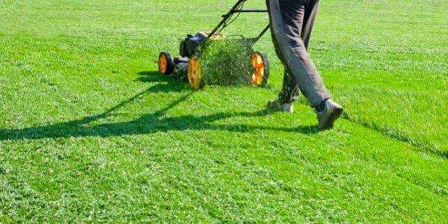 Lawn care and landscaping