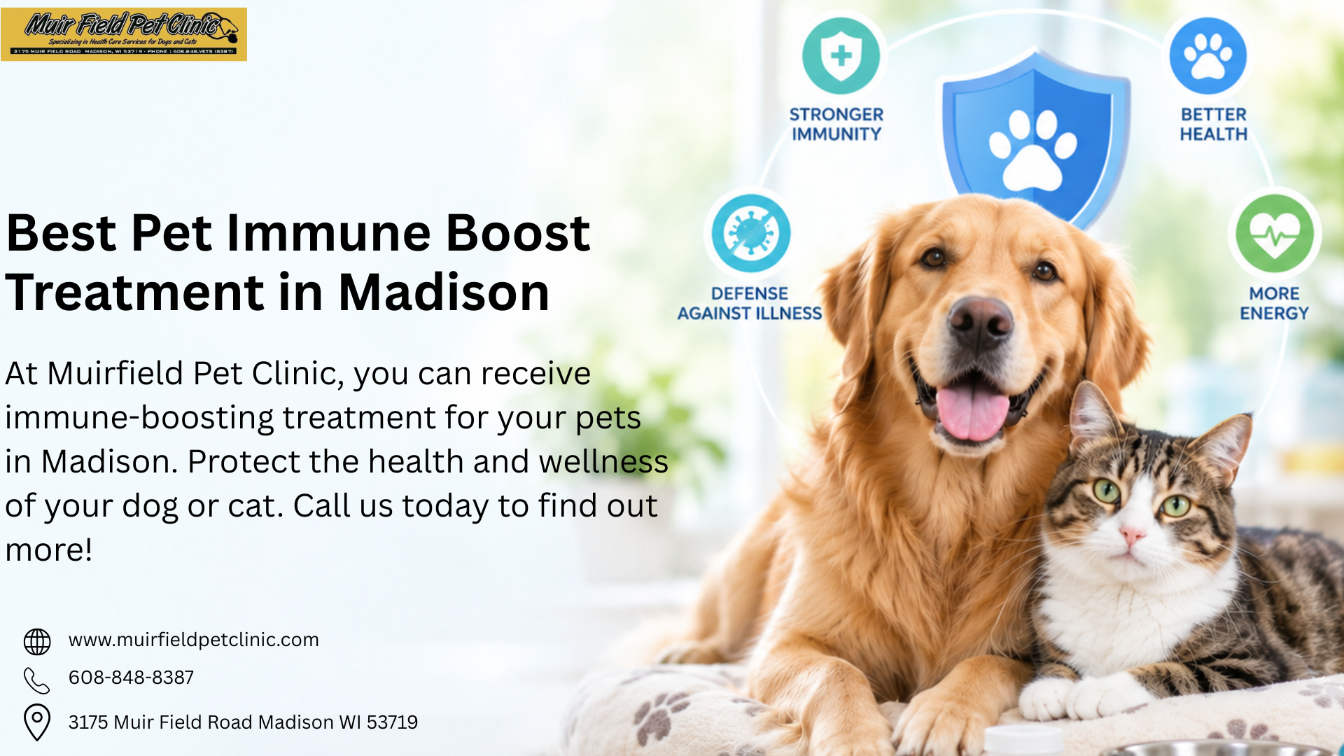 Pet Immune Boost Treatment in Madison | Muirfield Pet Clinic